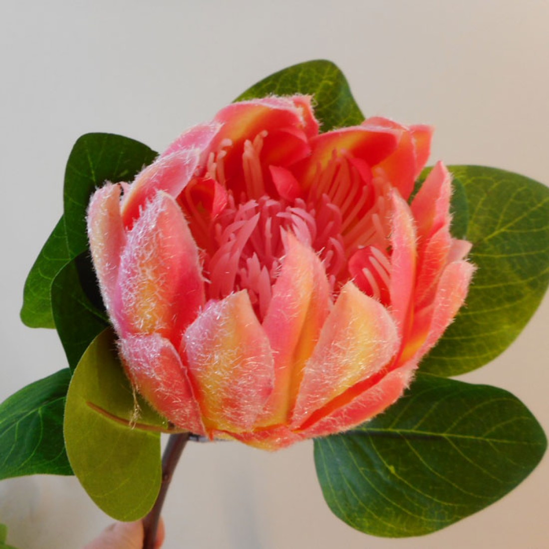 Artificial King Protea Pink Fruit Salad 65cm Artificial Flowers